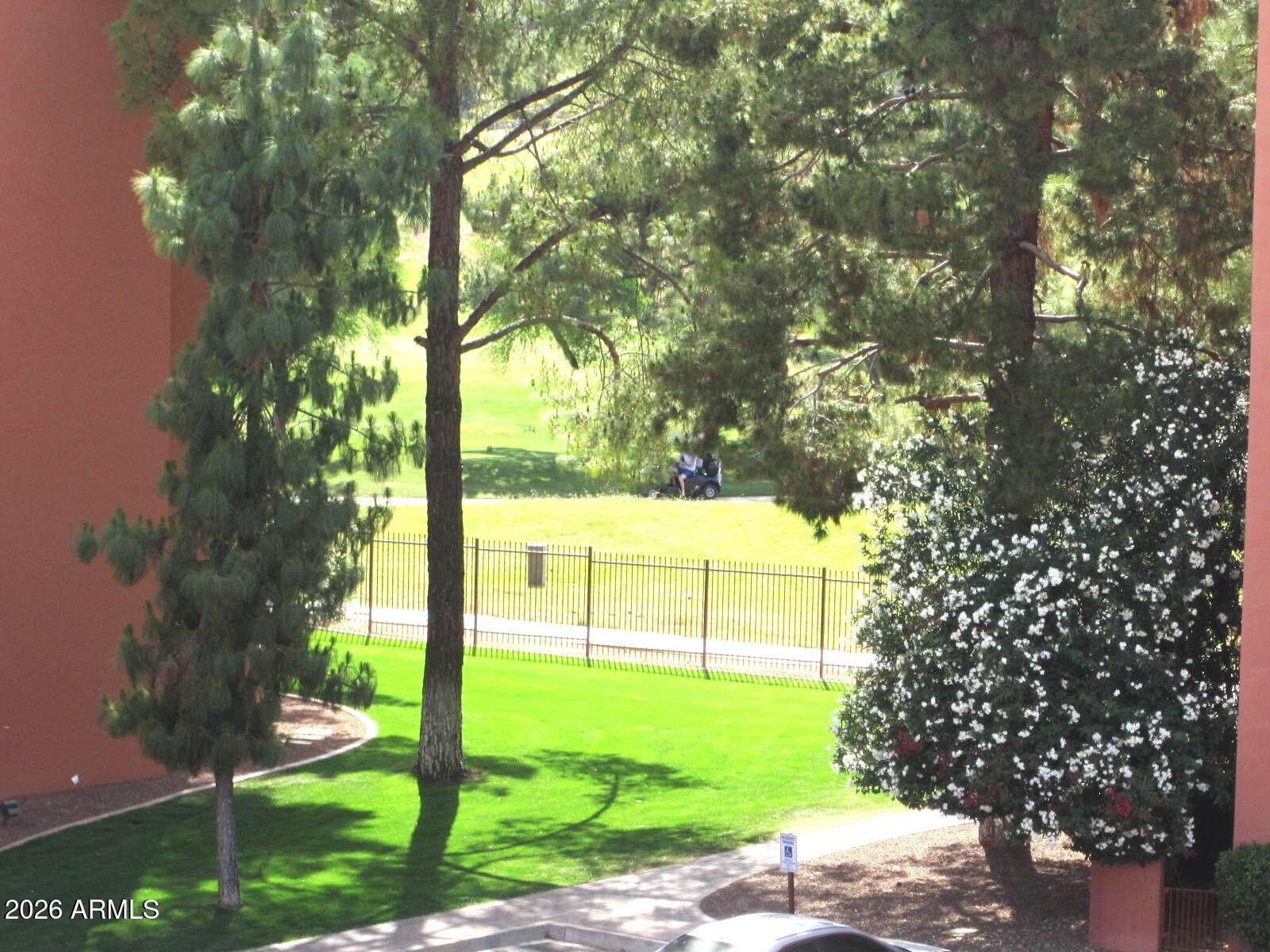 4303 East Cactus Road, Unit 419 Phoenix, AZ 85032 - Photo 19 of 34 a view of a yard with plants and large trees