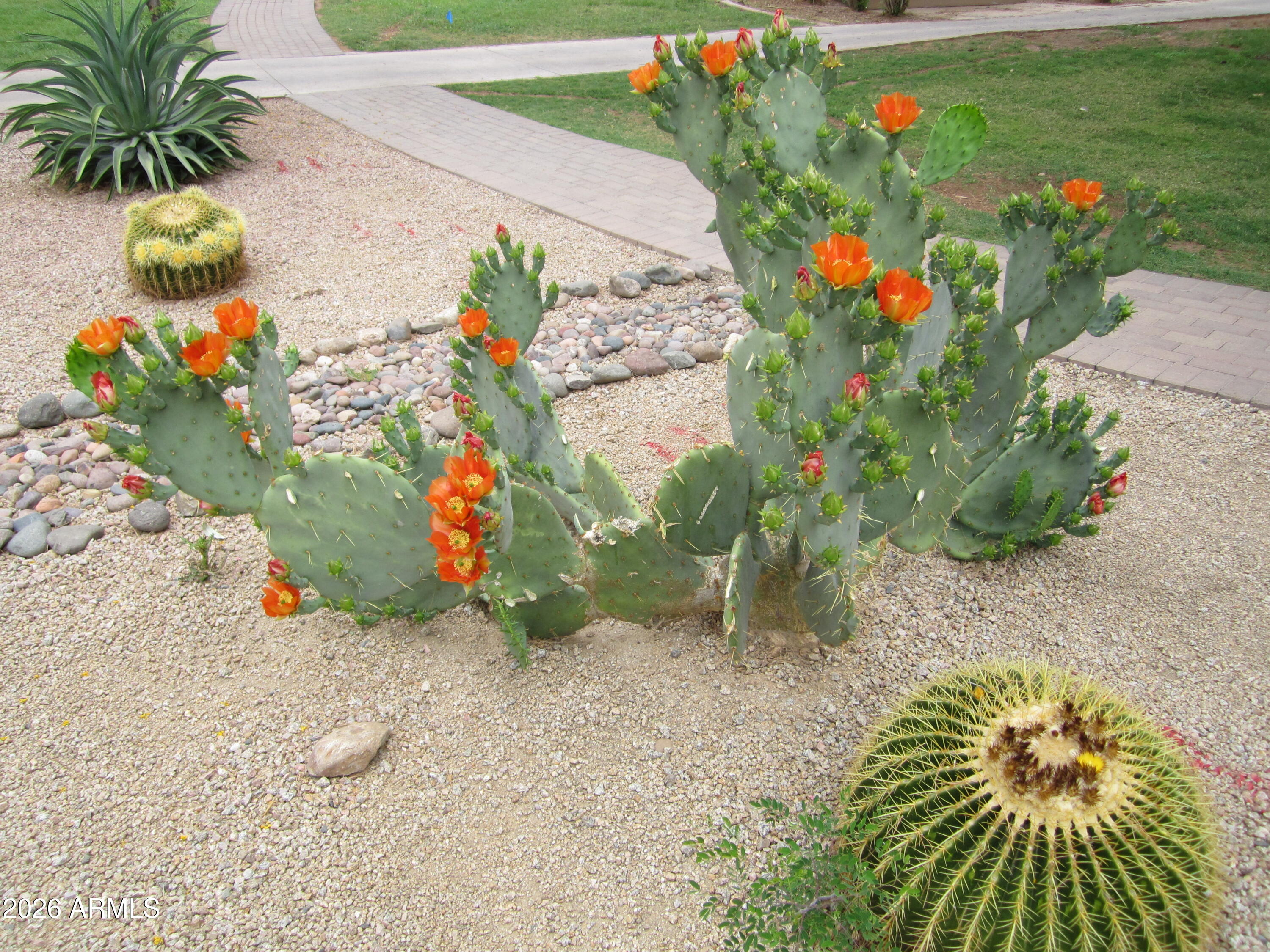 4303 East Cactus Road, Unit 419 Phoenix, AZ 85032 - Photo 33 of 34 a view of a outdoor space