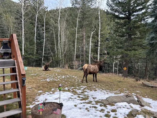 $1,050,000 | 385 Snyder Mountain Road, Evergreen, CO 80439