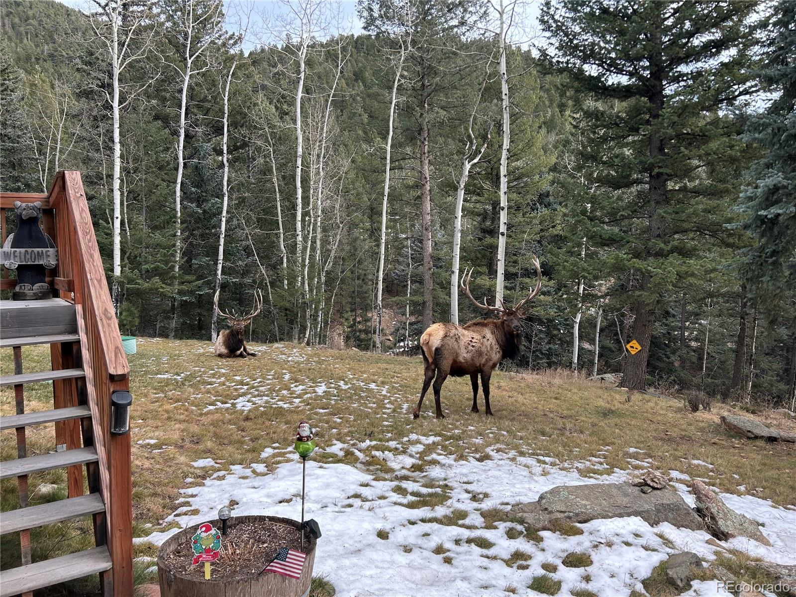 385 Snyder Mountain Road Evergreen, CO 80439 - Photo 33 of 49