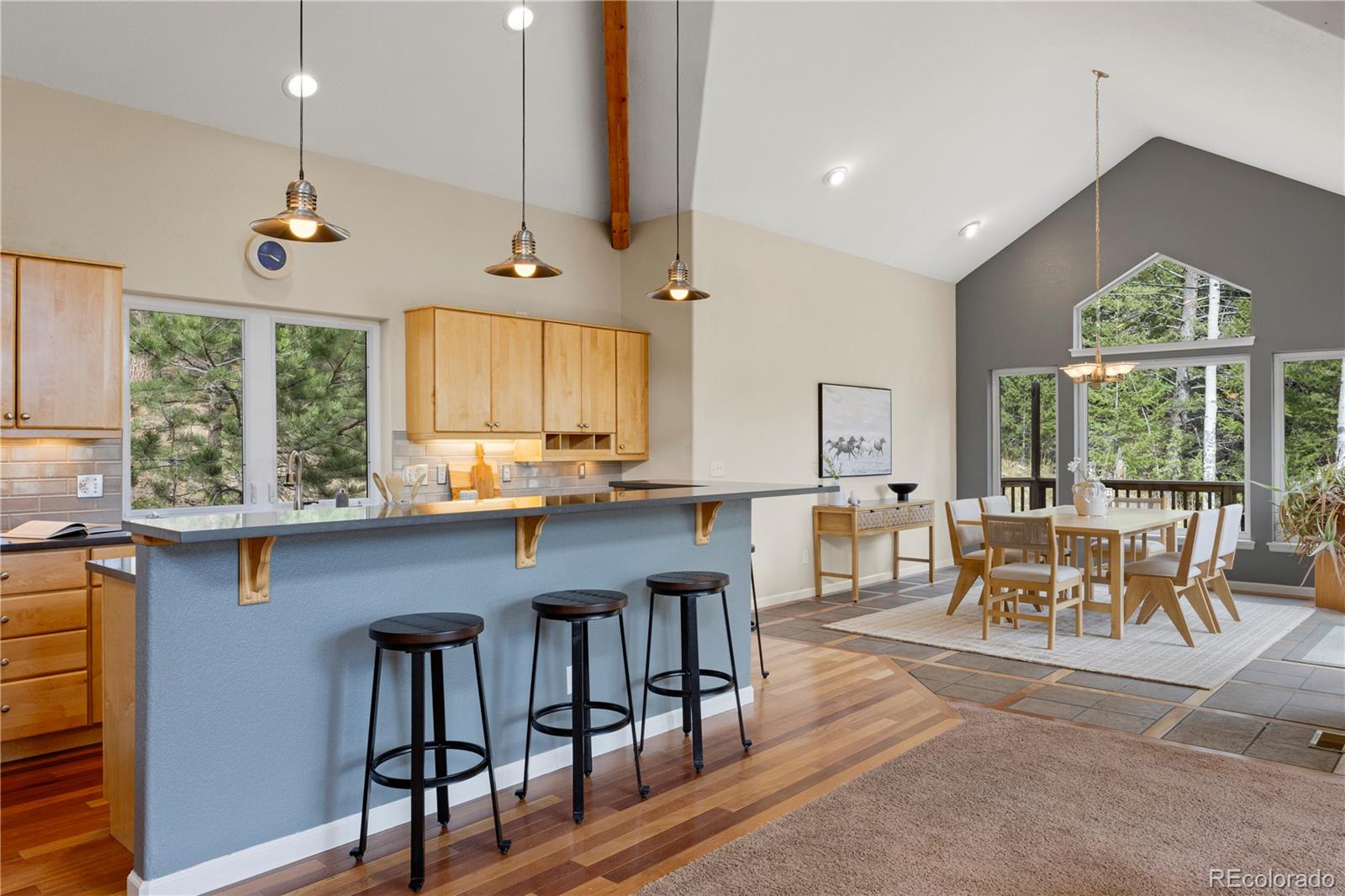 385 Snyder Mountain Road Evergreen, CO 80439 - Photo 10 of 49