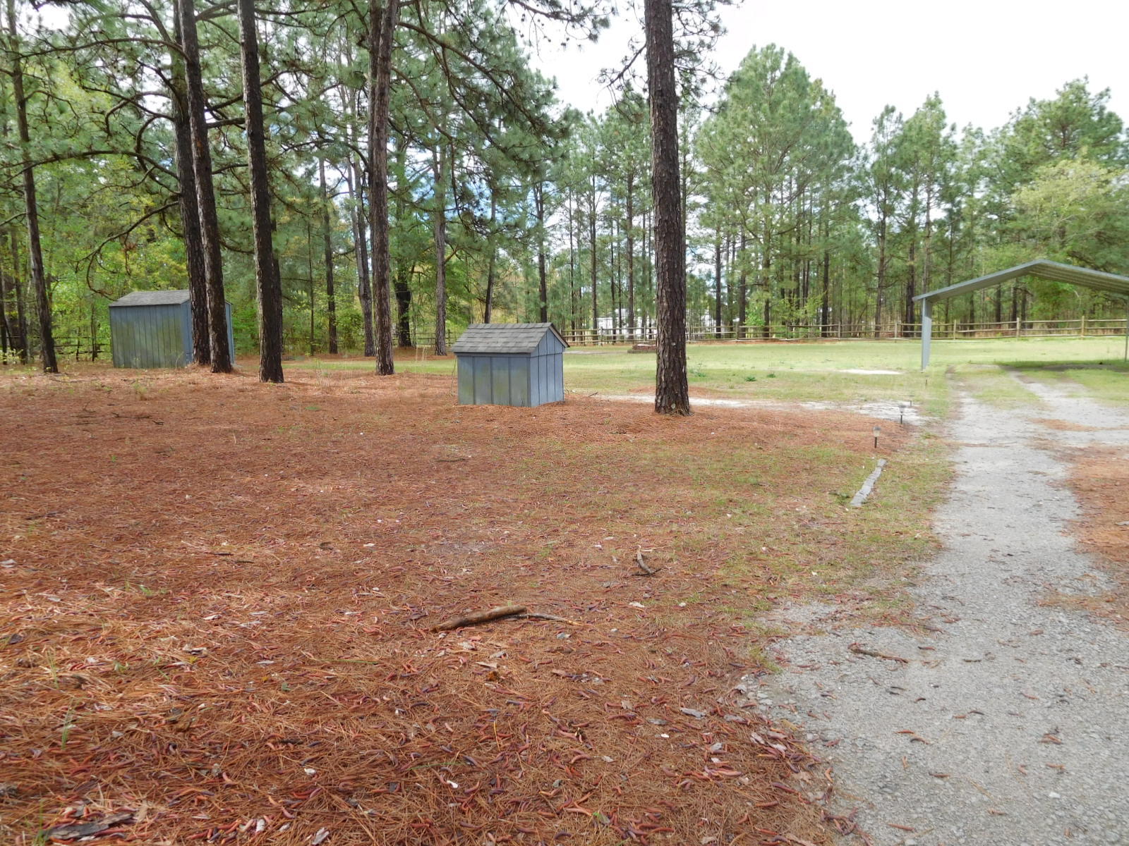 948 Pinebluff Lake Road Aberdeen, NC 28315 - Photo 22 of 28 Side Yard