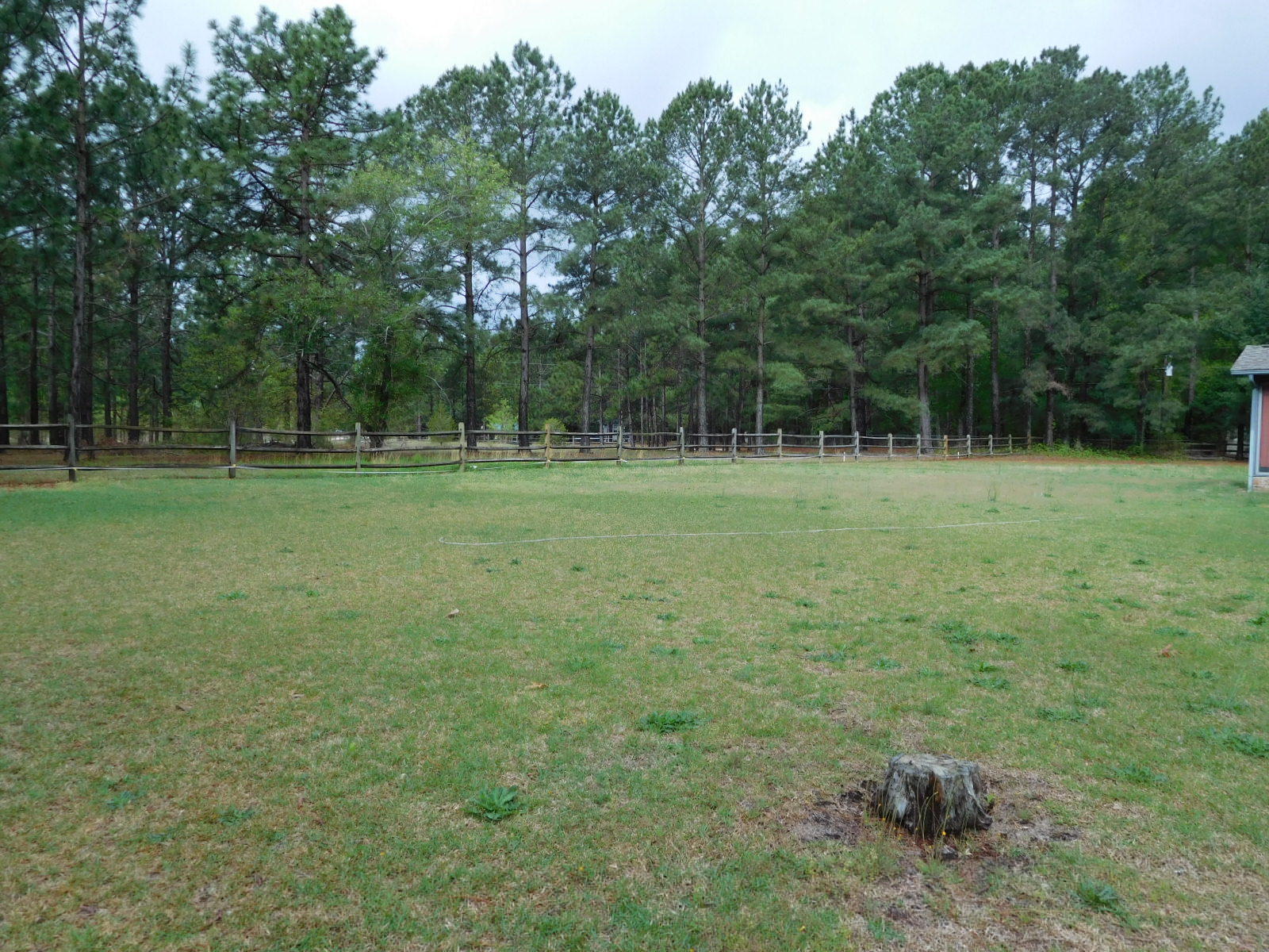 948 Pinebluff Lake Road Aberdeen, NC 28315 - Photo 23 of 28 Yard