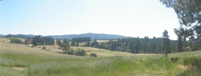 12405 East Tallman Road Chattaroy, WA 99003 - Photo 7 of 8