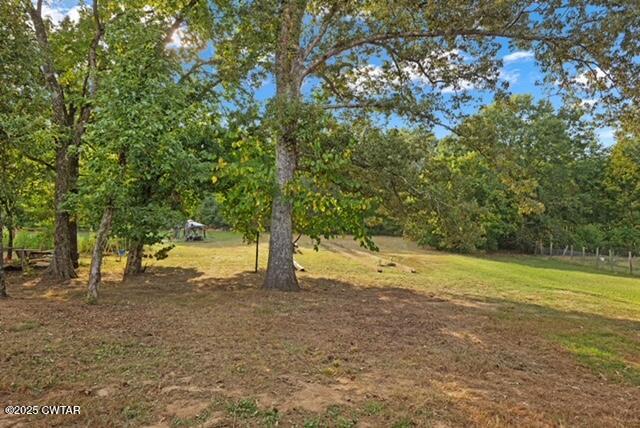 3023 Christmasville Road Jackson, TN 38305 - Photo 18 of 20 a view of a yard with a tree