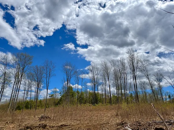 $225,000 | Lot #11 Jordan Heights Road, Cornish, ME 04020