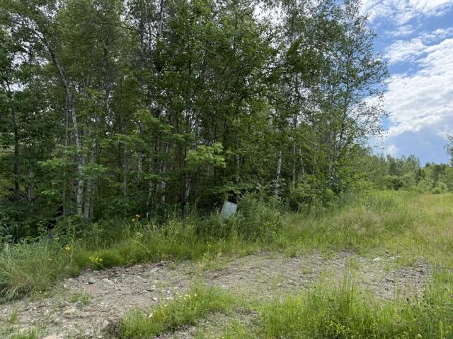 24 Old County Road Charlotte, ME 04666 - Photo 26 of 49 IMG_2572