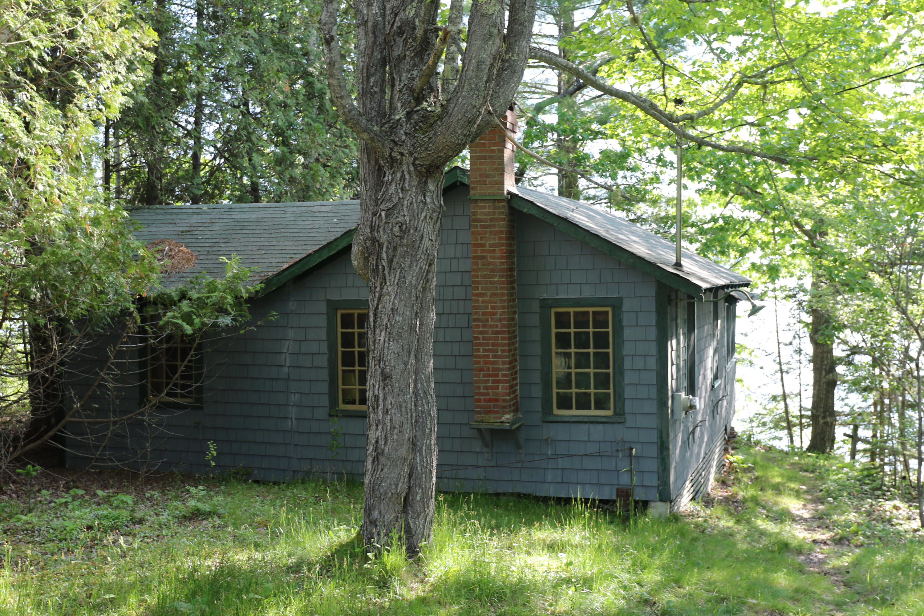 646 Newbury Neck Road Surry, ME 04684 - Photo 2 of 15 133A4393