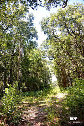 3851 Fowl River Road Theodore, AL 36582 - Photo 3 of 6 Power Line/Drive