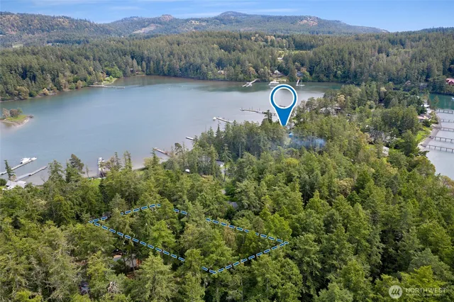 a view of a yard with plants and trees