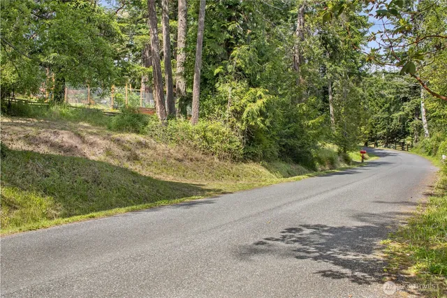 a view of a yard with trees
