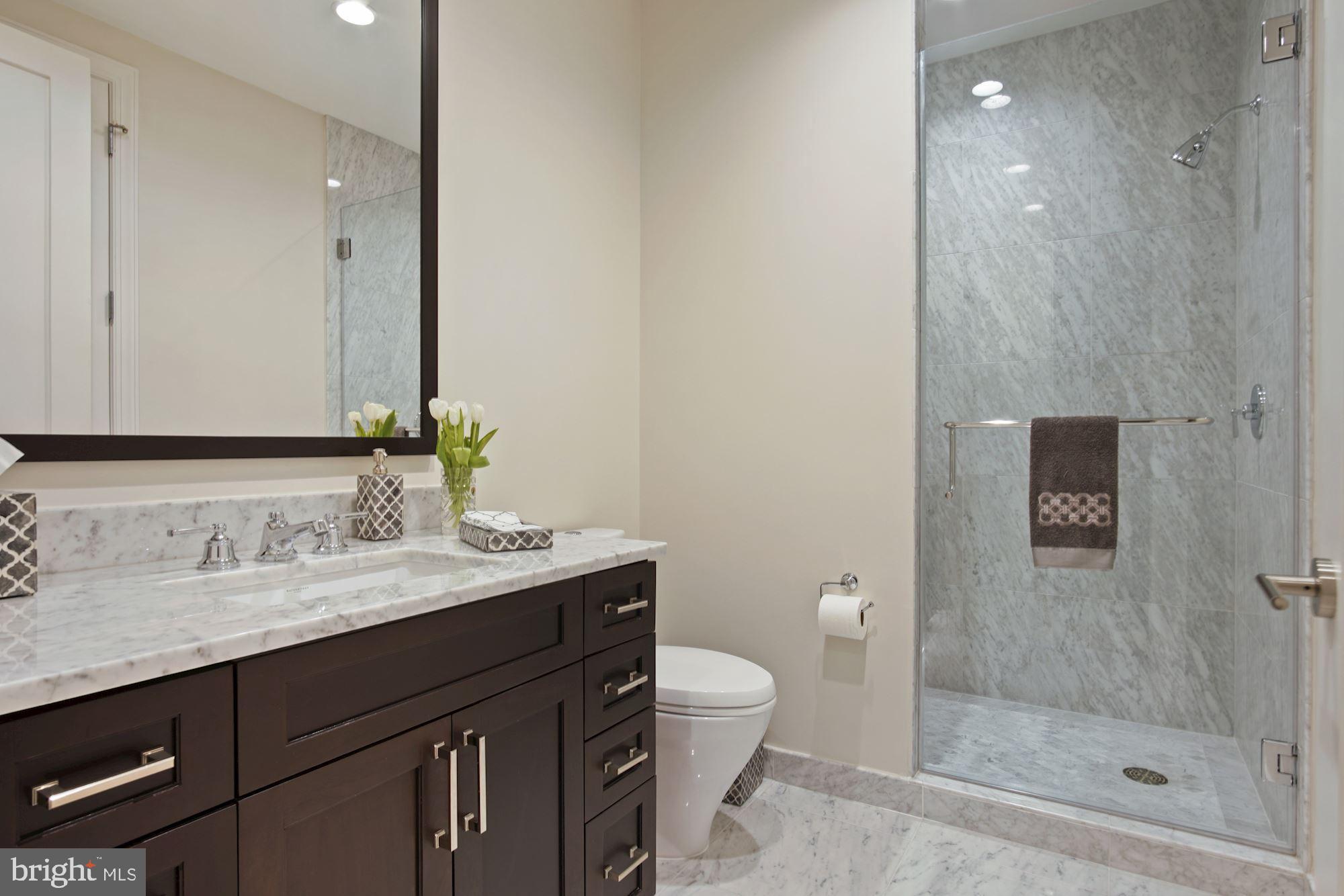 8121 River Road, Unit 431 Bethesda, MD 20817 - Photo 40 of 51 Hall bath