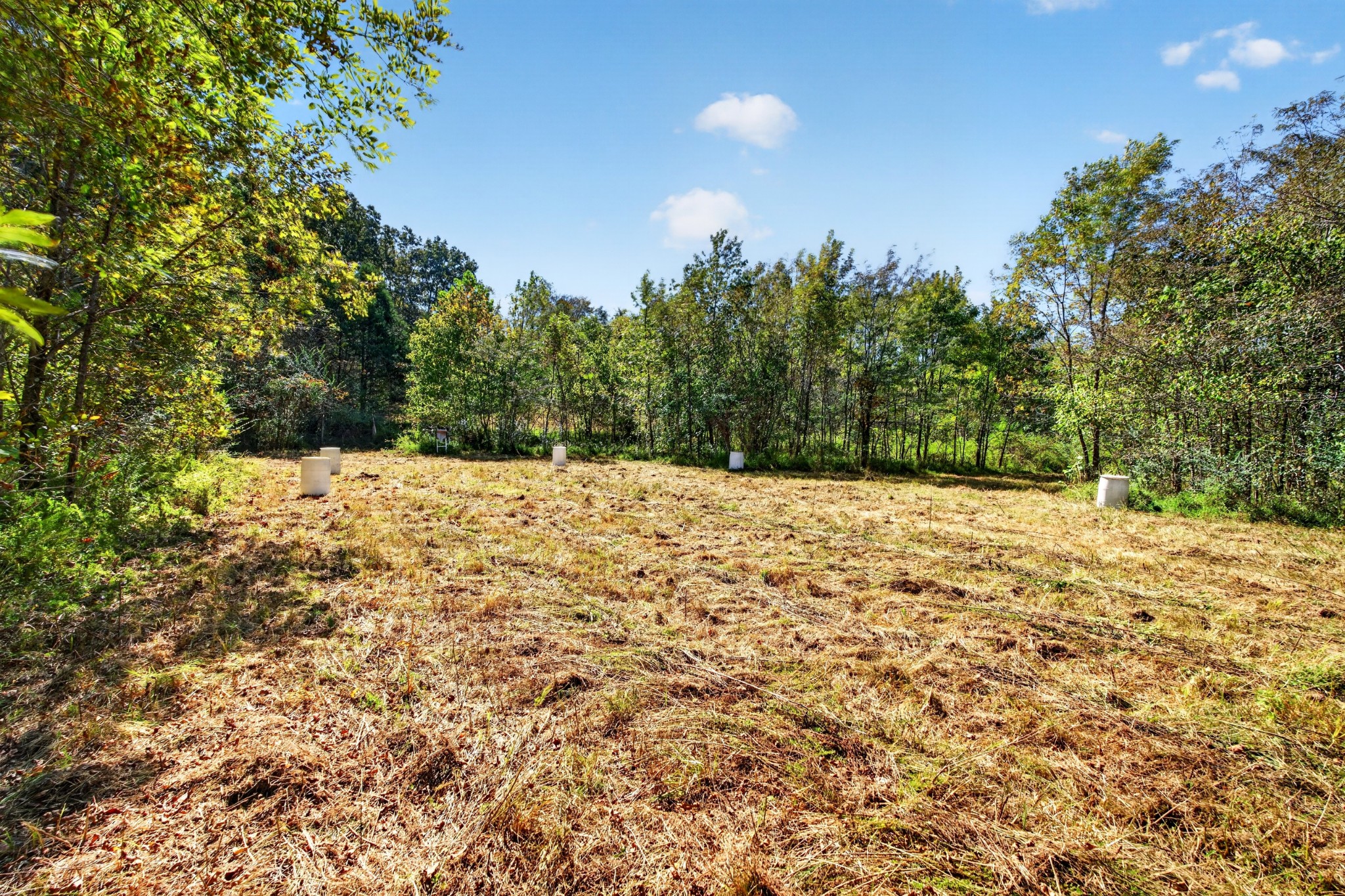 1202 Starks Road Cumberland Furnace, TN 37051 - Photo 47 of 98 Gallery Image 47