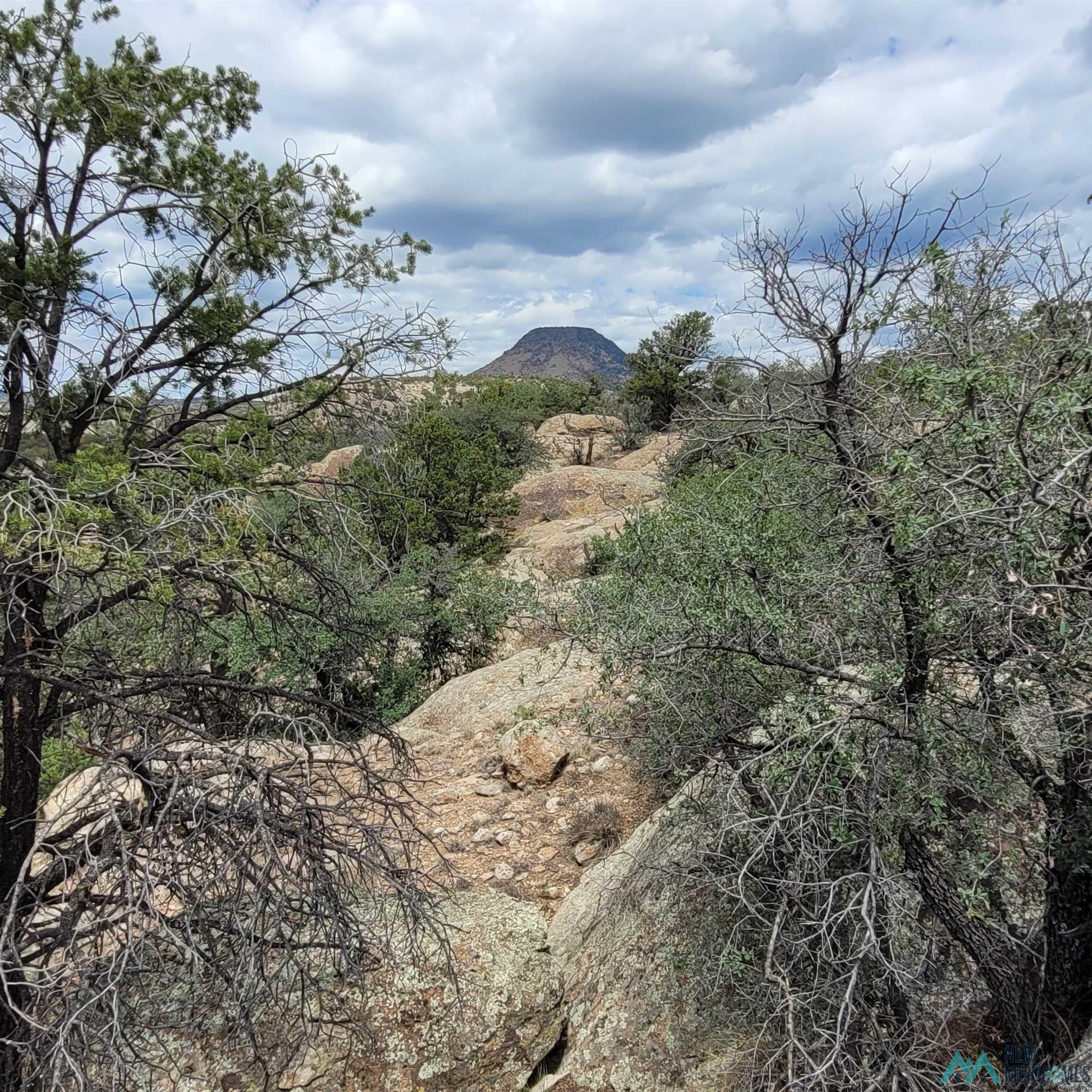 Xx Lookout Loop Datil, NM 87821 - Photo 16 of 38 Gallery Image 16
