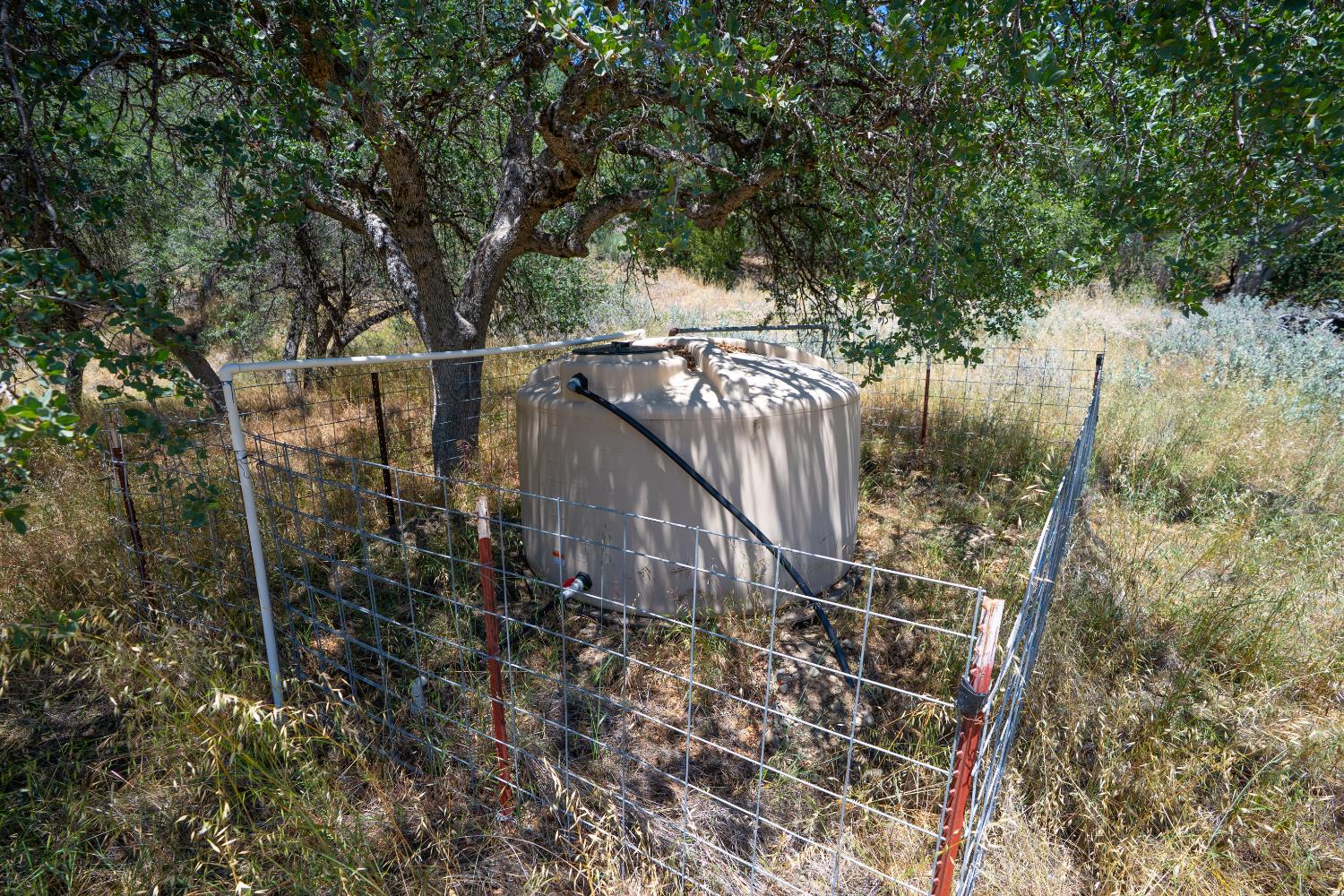 20505 Coalinga Road Paicines, CA 95043 - Photo 47 of 88