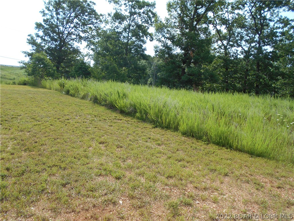 property lays with a very gentle slope!