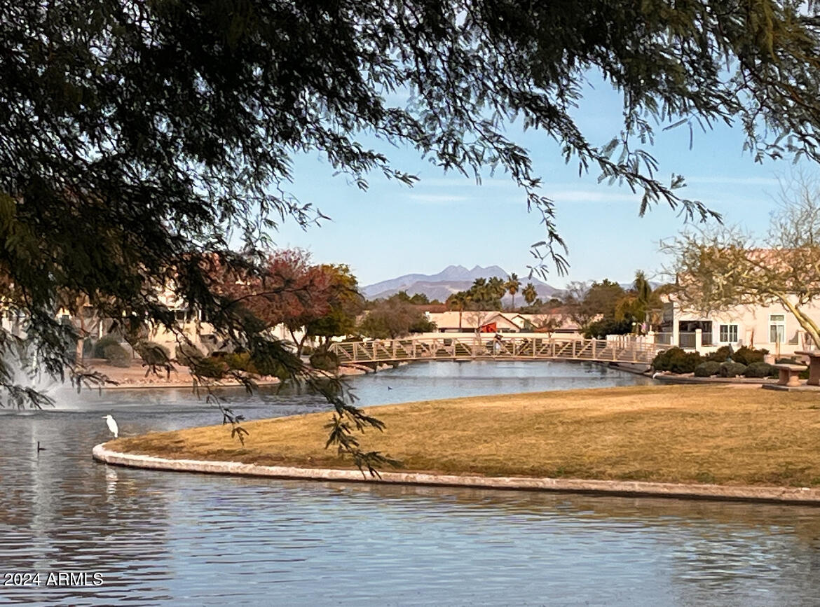 633 South Golden Key Street Gilbert, AZ 85233 - Photo 22 of 23 IMG_1635
