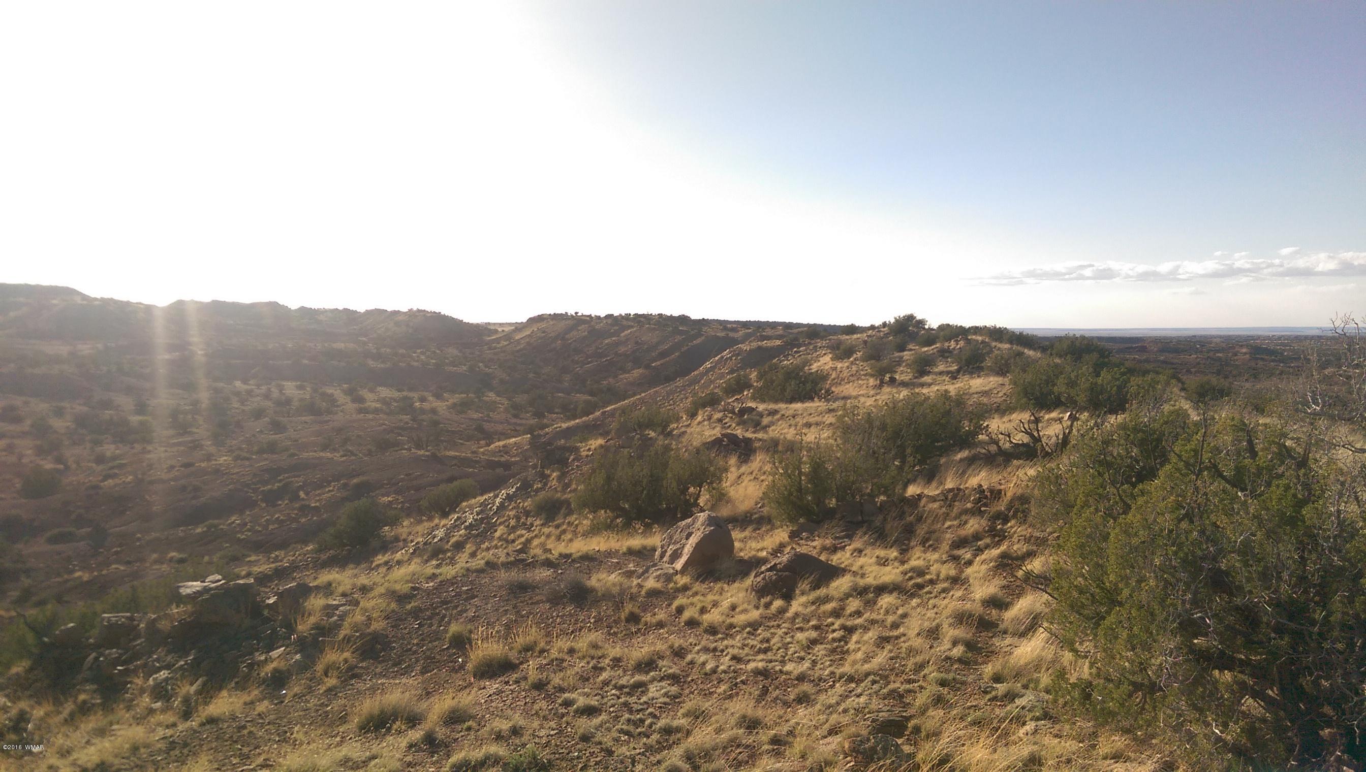 Lot 220 River Springs Ranch Eagar, AZ 85925 - Photo 2 of 4