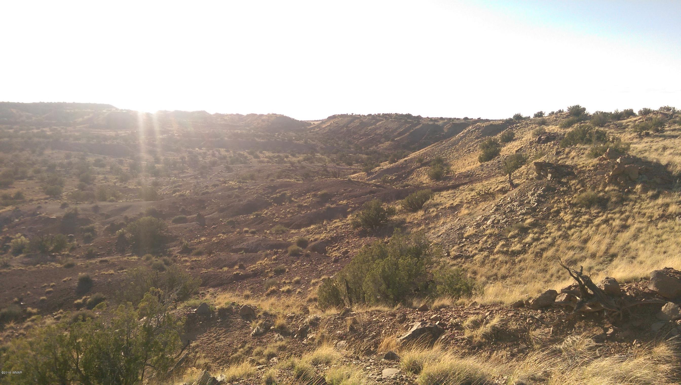 Lot 220 River Springs Ranch Eagar, AZ 85925 - Photo 3 of 4