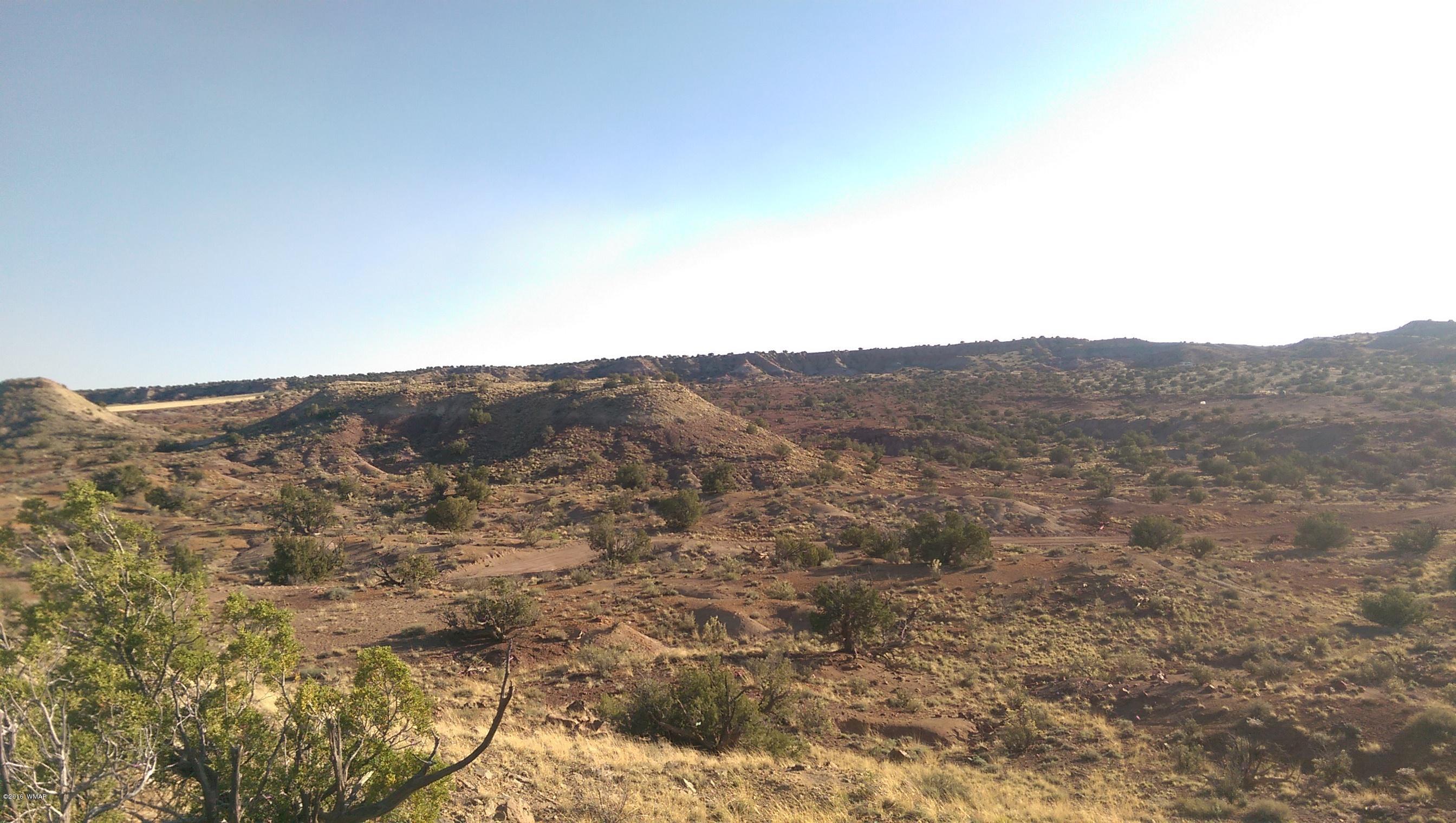 Lot 220 River Springs Ranch Eagar, AZ 85925 - Photo 4 of 4