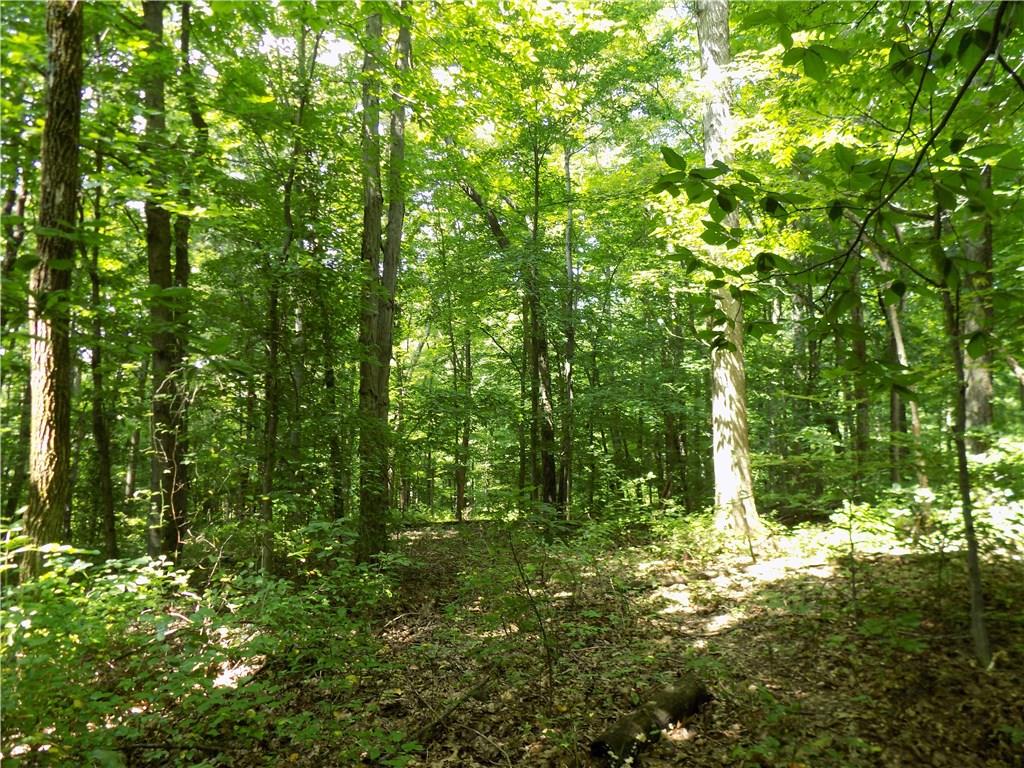 0 Atkinsville Road Poland, IN 47868 - Photo 5 of 6