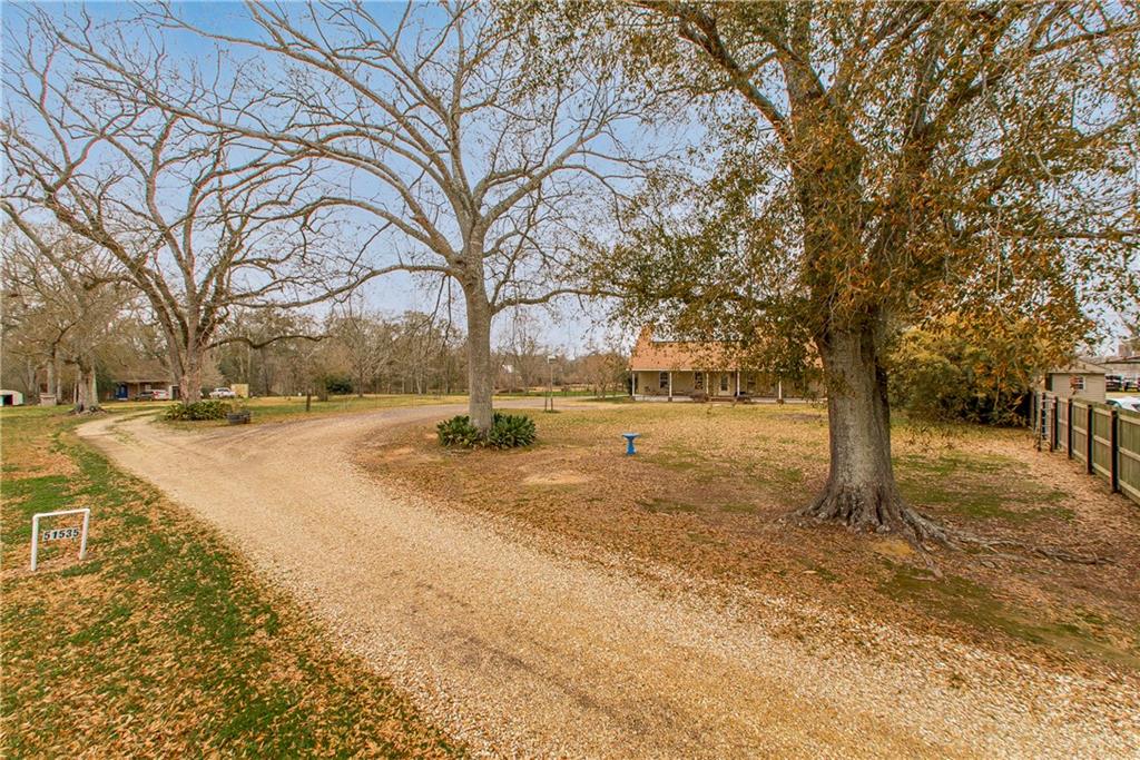 51535 Narretto Road Loranger, LA 70446 - Photo 4 of 37 Gallery Image 4
