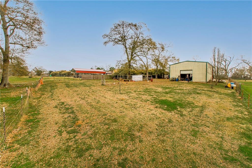 51535 Narretto Road Loranger, LA 70446 - Photo 8 of 37 Gallery Image 8