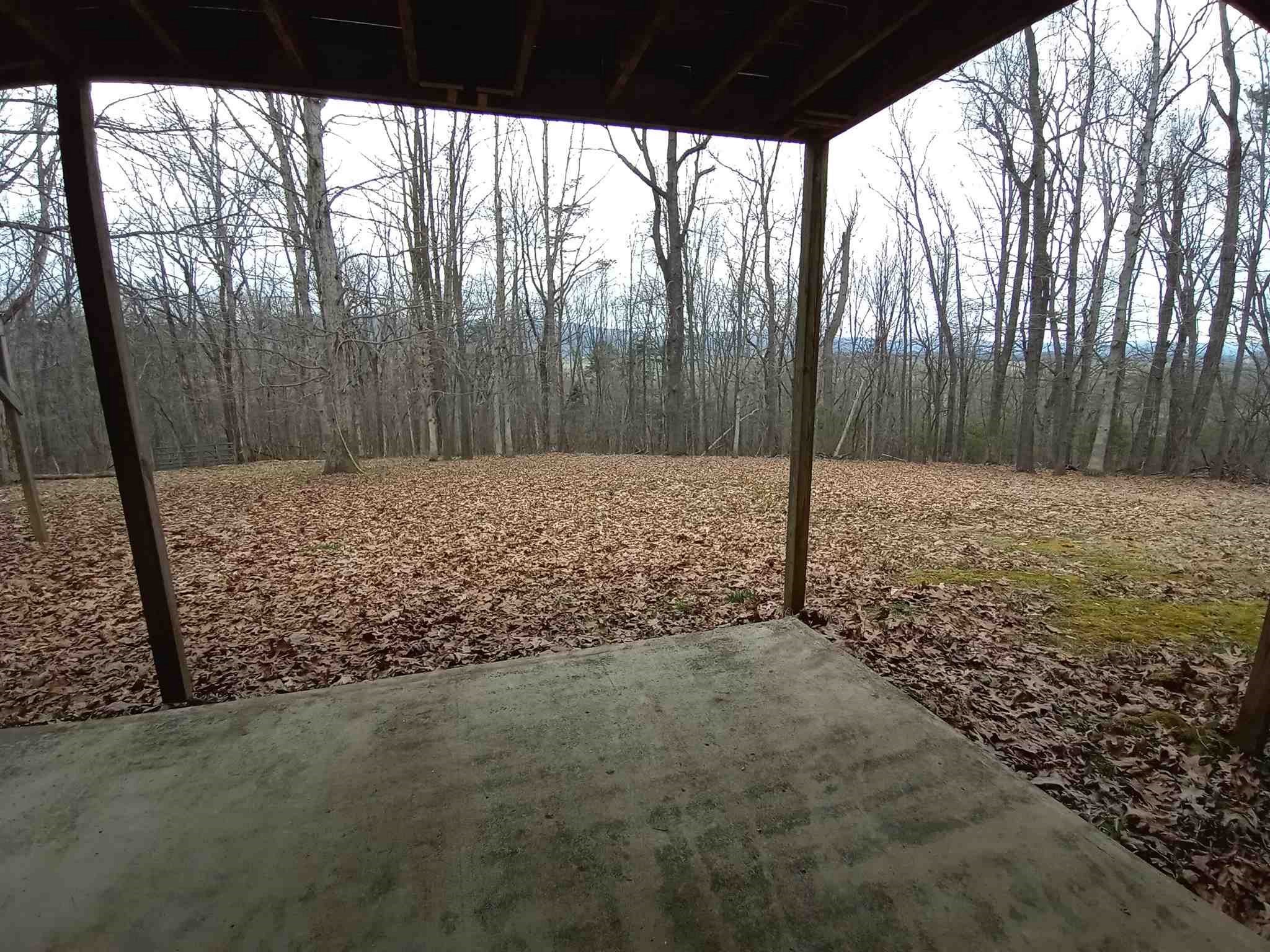 619 Miller Farm Road Staunton, VA 24401 - Photo 34 of 40 a view of a yard with trees in the background