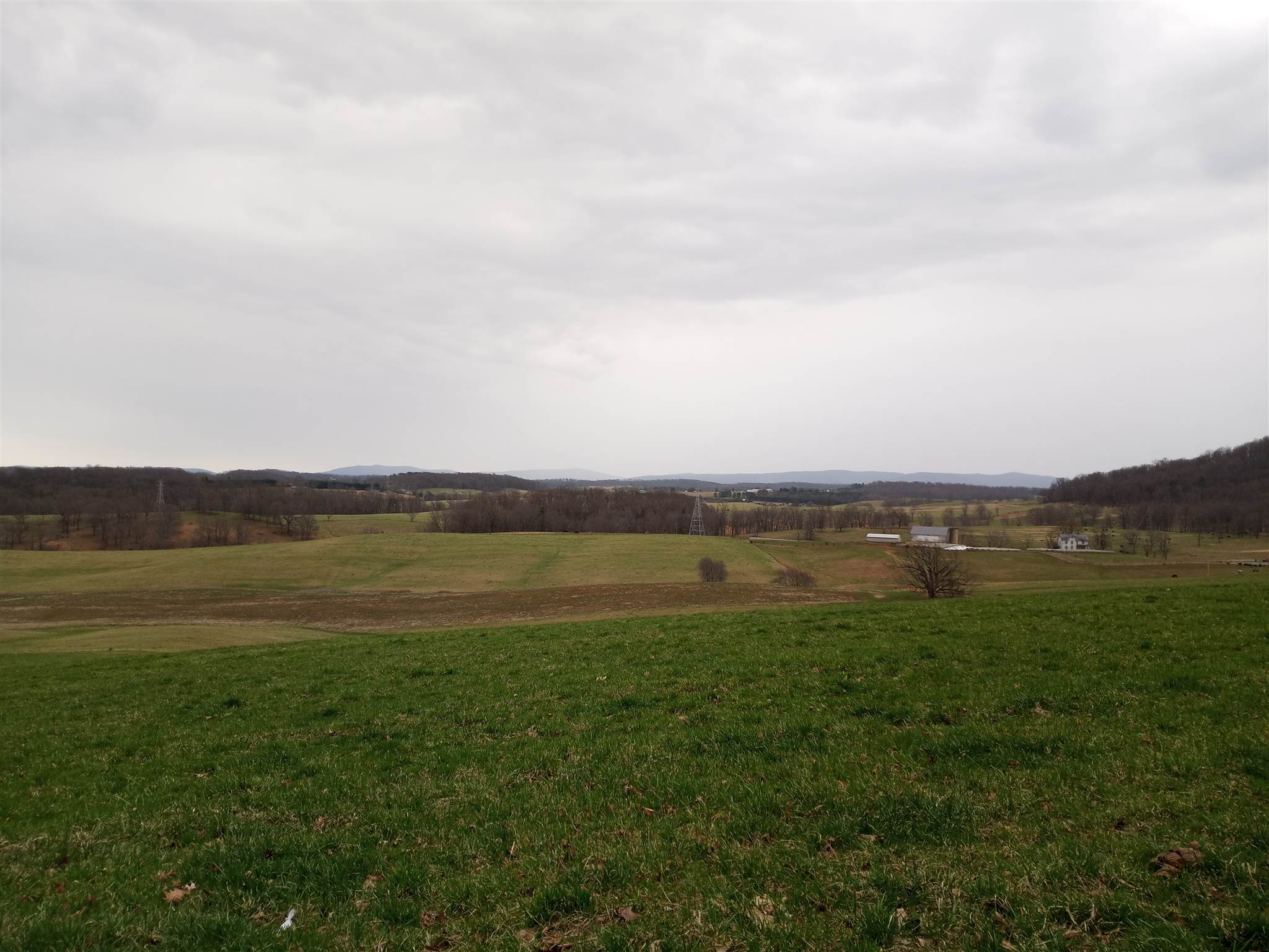 619 Miller Farm Road Staunton, VA 24401 - Photo 35 of 40 a view of lake with mountain