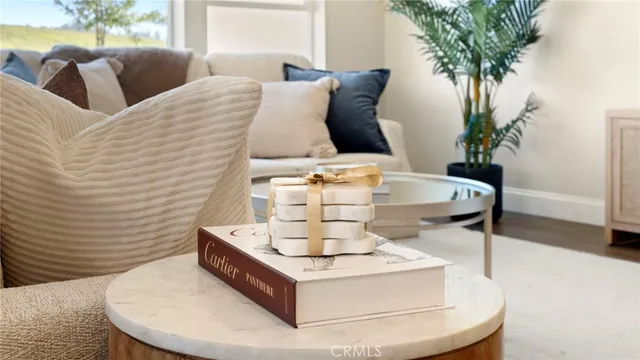 a living room with furniture and a potted plant