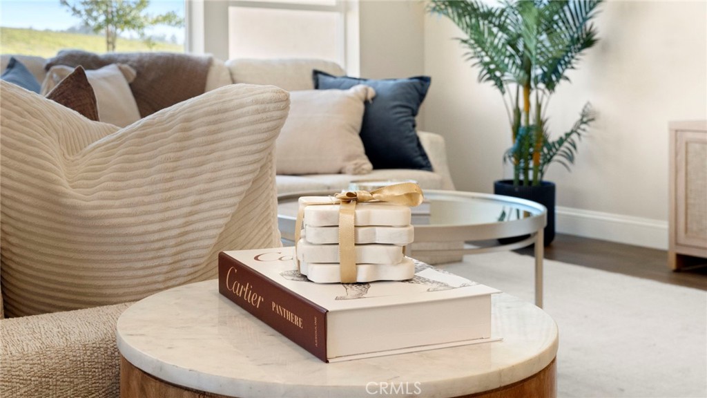 867 Trail View Place Nipomo, CA 93444 - Photo 2 of 71 a living room with furniture and a potted plant