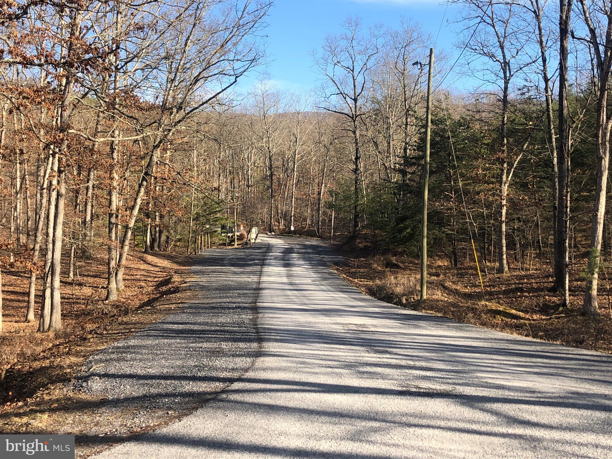 333 Nathaniel Mountain Road Moorefield, WV 26836 - Photo 40 of 65