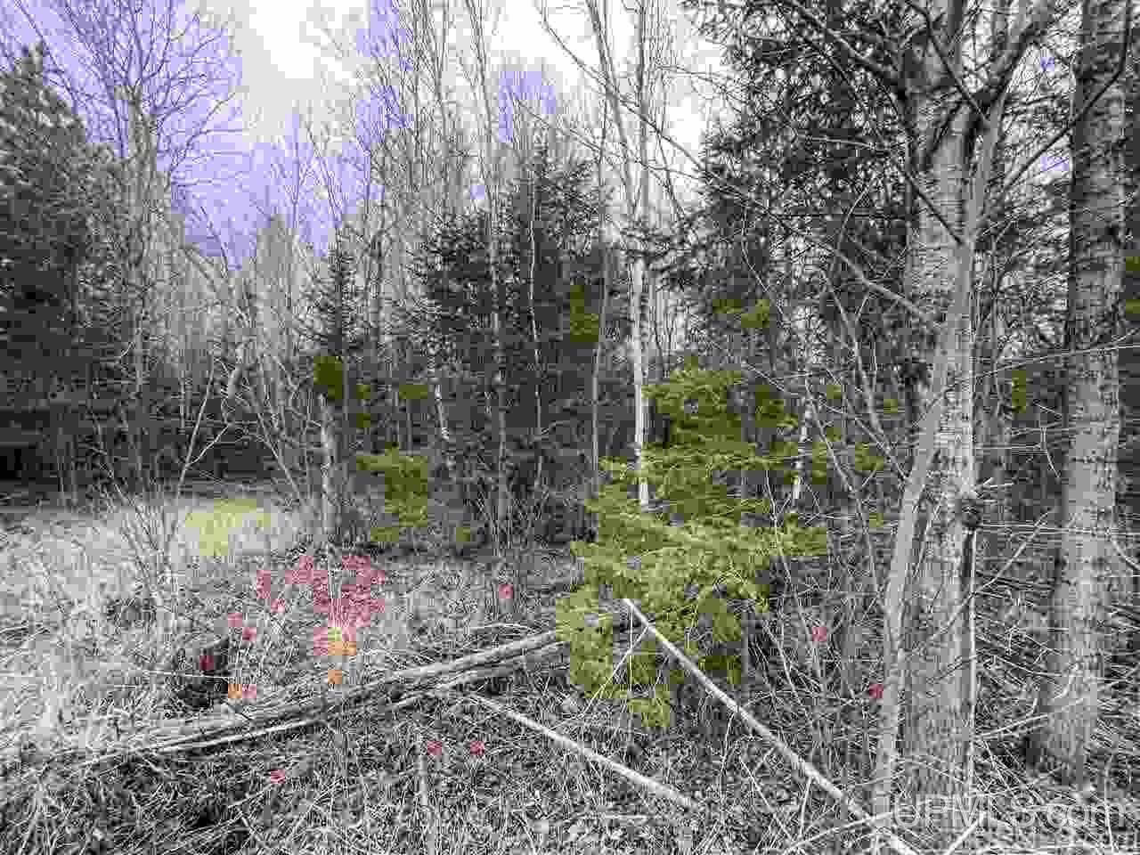 Tbd 2235 Road, Unit 3 Wetmore, MI 49895 - Photo 3 of 13