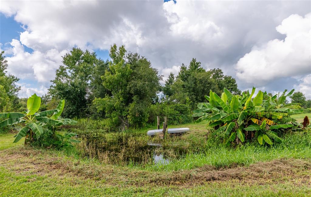 3005 Verna Bethany Road Myakka City, FL 34251 - Photo 29 of 38 Gallery Image 29