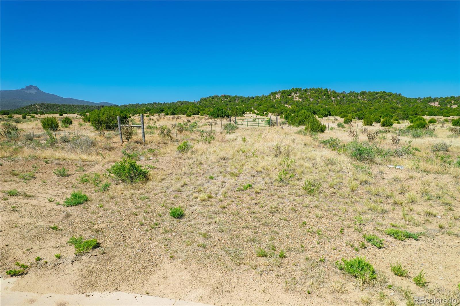 37300 Kunzite Road Trinidad, CO 81082 - Photo 15 of 35