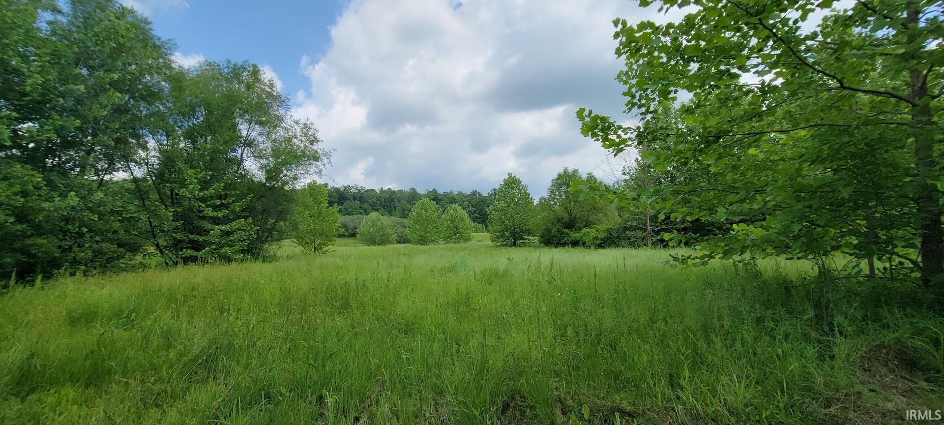 23.5-acres Peerless Road Bedford, IN 47421 - Photo 3 of 16