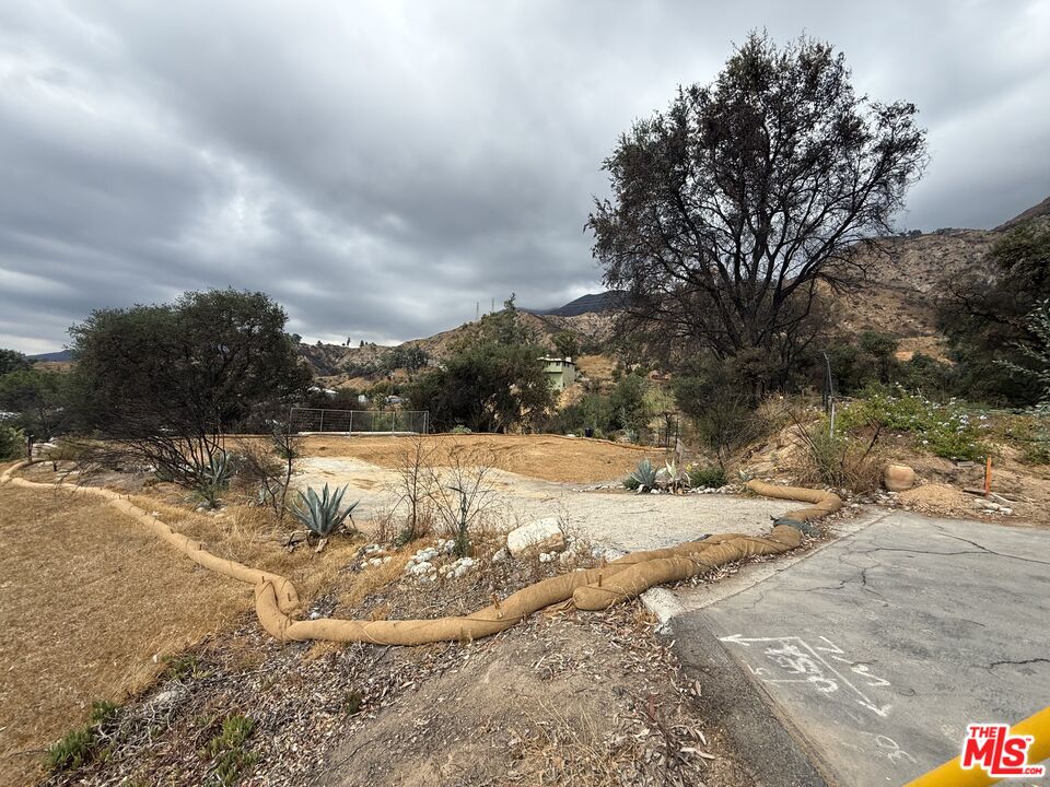 243 Taos Road Altadena, CA 91001 - Photo 3 of 9 a view of a yard with large trees