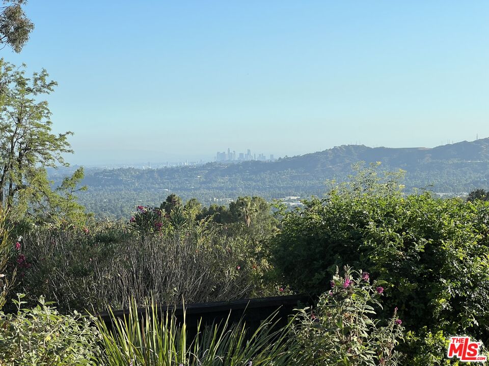 243 Taos Road Altadena, CA 91001 - Photo 5 of 9 a view of a lush green field with lots of bushes