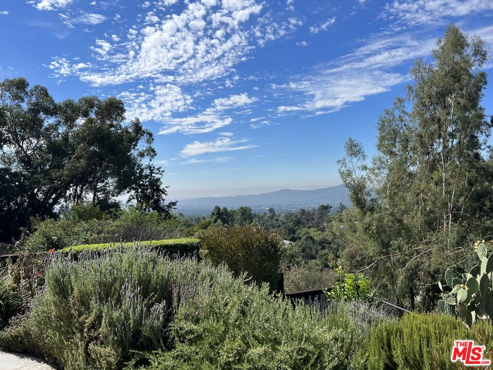243 Taos Road Altadena, CA 91001 - Photo 8 of 9 a view of a garden with plants and large trees