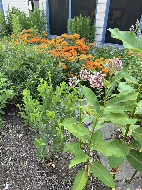 70 Ardsmoor Road Melrose, MA 02176 - Photo 40 of 42