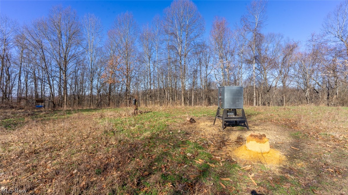 0 Clem Garvin Road Caldwell, OH 43724 - Photo 19 of 50 View of yard
