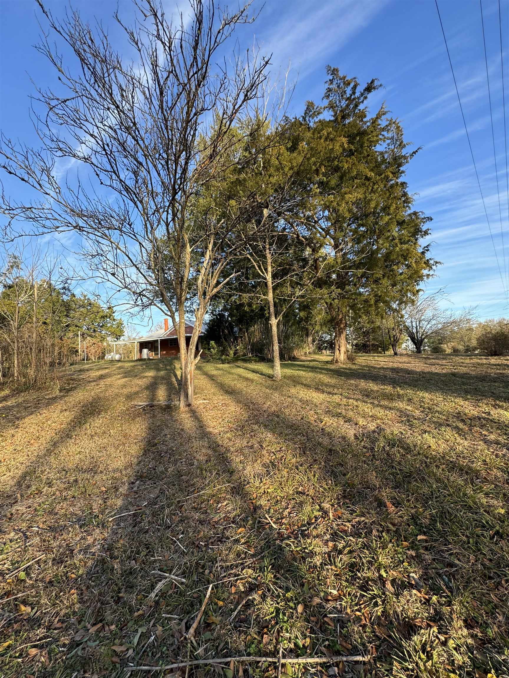 1645 Hollinger Road Atmore, AL 36502 - Photo 8 of 28