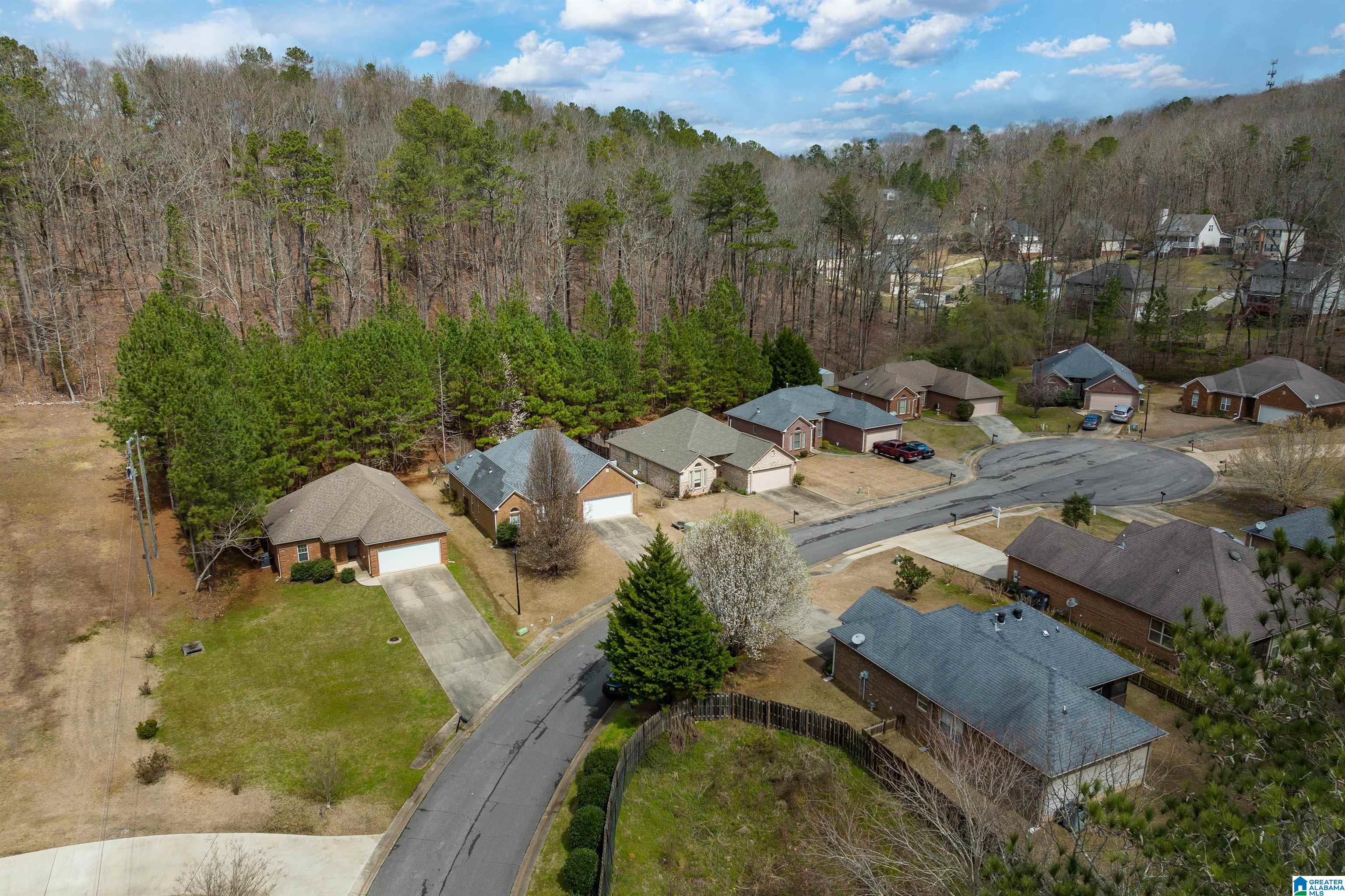 6734 Heaton Manor Pinson, AL 35126 - Photo 4 of 29
