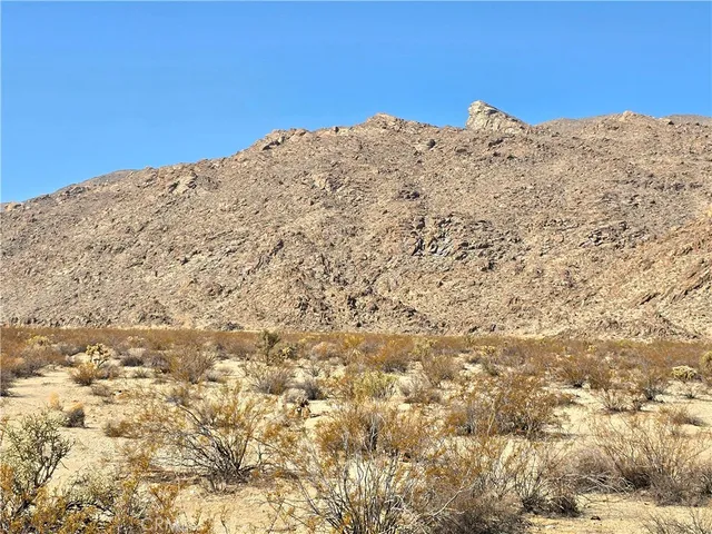 a view of a dry yard with wooden fence