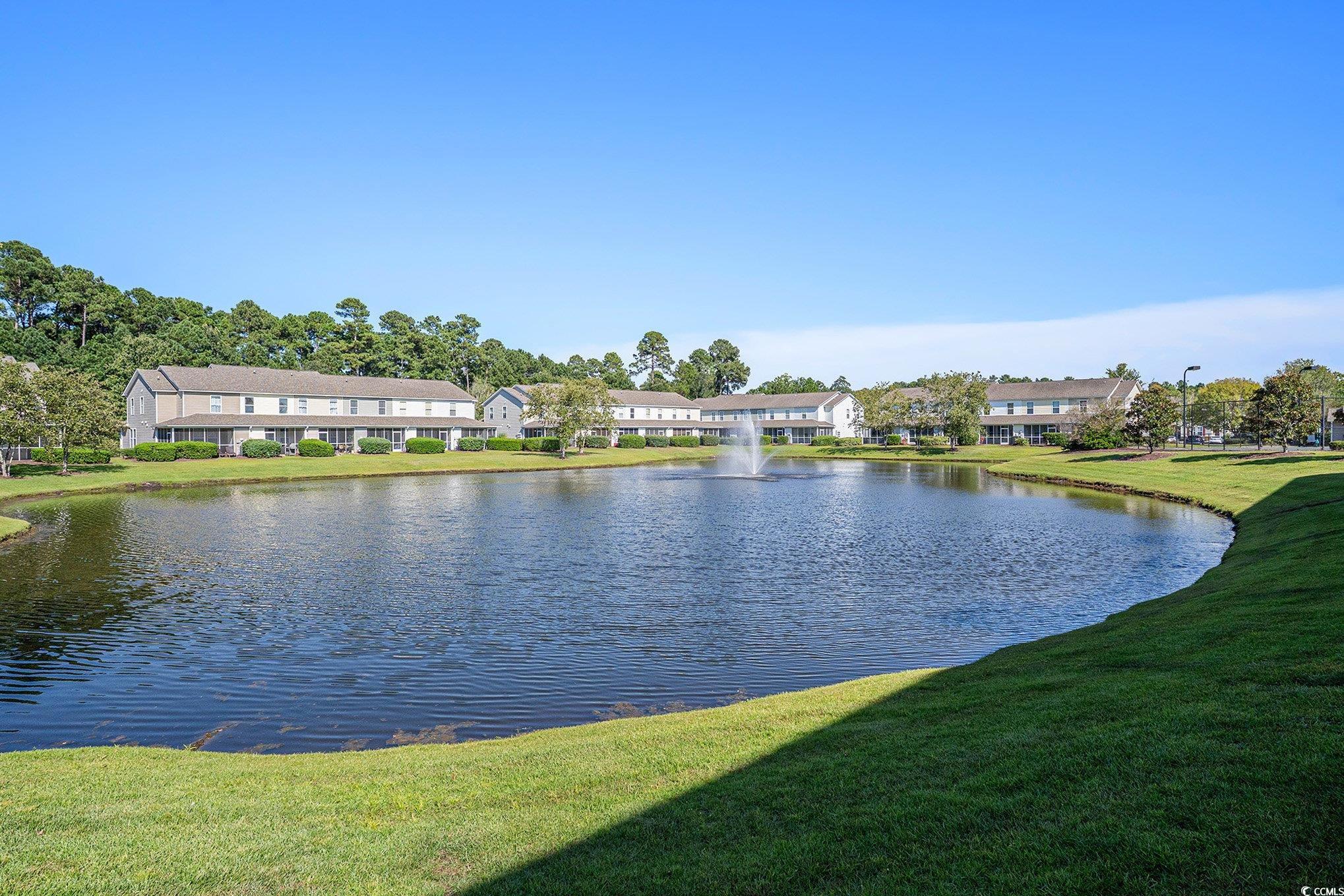302 Kiskadee Loop, Unit 2F Conway, SC 29526 - Photo 22 of 40