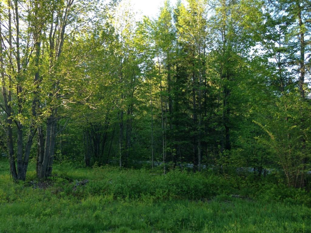 620 Edinburg Road Howland, ME 04448 - Photo 3 of 9 Maine Land for Sale near the...