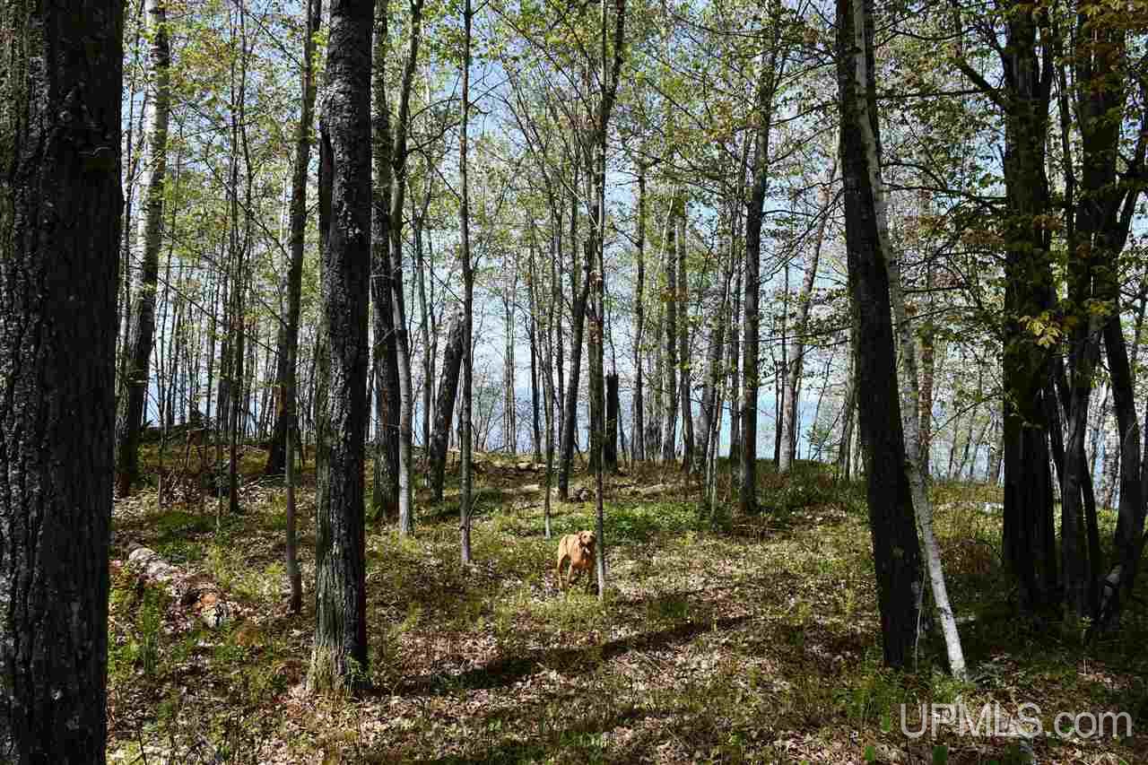 E456 Lake Road Ironwood, MI 49938 - Photo 20 of 39