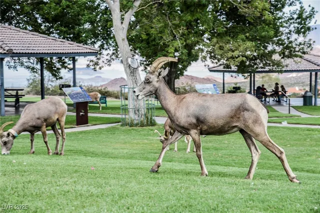 $292,000 | 687 Marina Drive, Unit 39, Boulder City, NV 89005