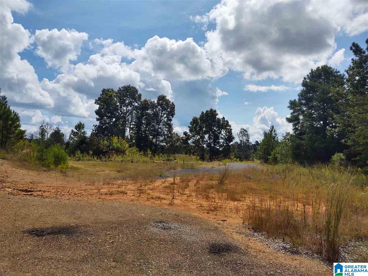 17160 Lock 17 Road, Unit 1 Brookwood, AL 35444 - Photo 13 of 13