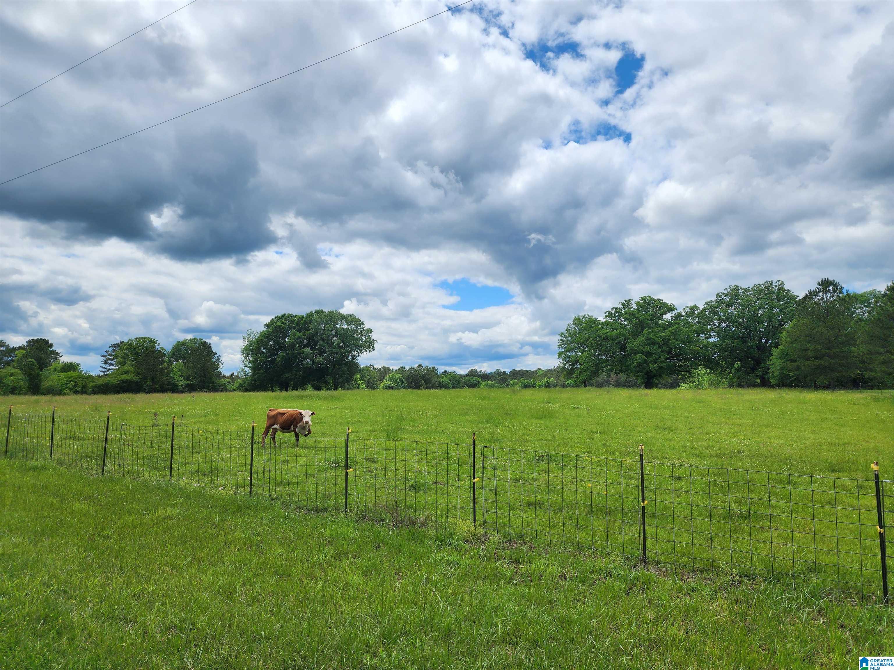305 Stolle Farm Road, Unit METES AND BOUNDS Ashville, AL 35953 - Photo 6 of 7